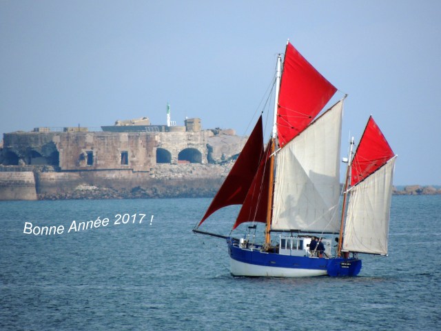 bonne-annee-2017-dscn9415