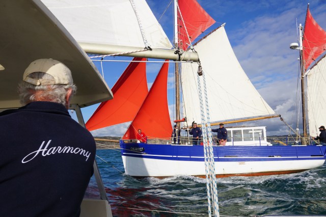 69623618_1295520897281656_5604513274205831168_n