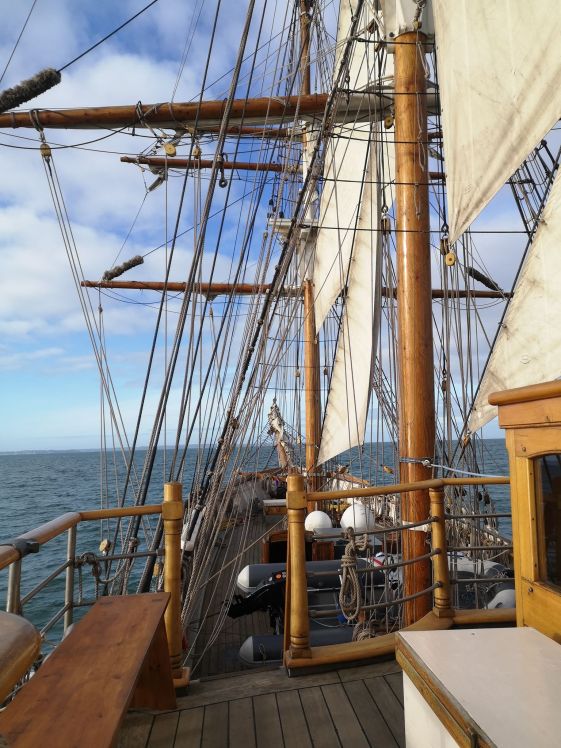 LF 82158578_459887941349789_8790203694332248064_n